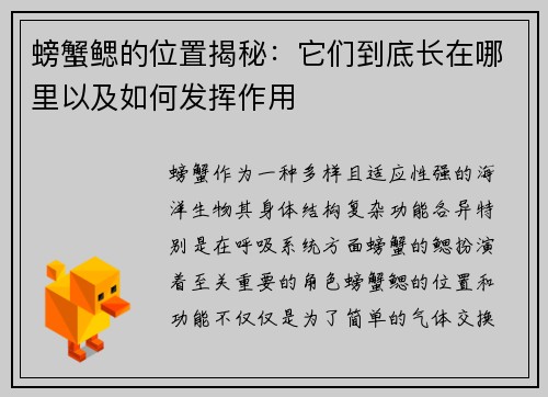 螃蟹鳃的位置揭秘：它们到底长在哪里以及如何发挥作用
